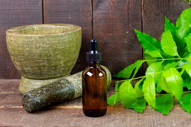 Wat is Ayurveda